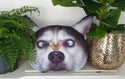 Kussen Hond. Grappige kussen in een vorm van kop van een Hond. Cadeau voor kind of volwassen. Leuke kussen Hond. Stijl 1