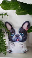 Grappige kussen in een vorm van een Franse Bulldog hondje.