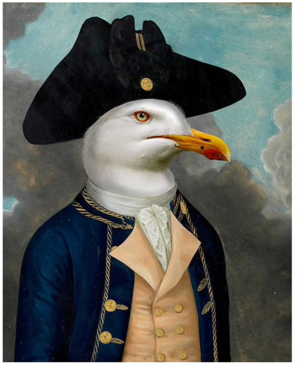 Schilderij Admiraal Meeuw. Schilderij meeuw pak. Vogel in kleding grappige schilderij in lijst 13x18