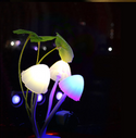 Stopcontact nachtlampje Paddestoelen. Nachtlamp voor kind of volwassen Paddestoelen lamp. LED Lamp voor stopcontact.